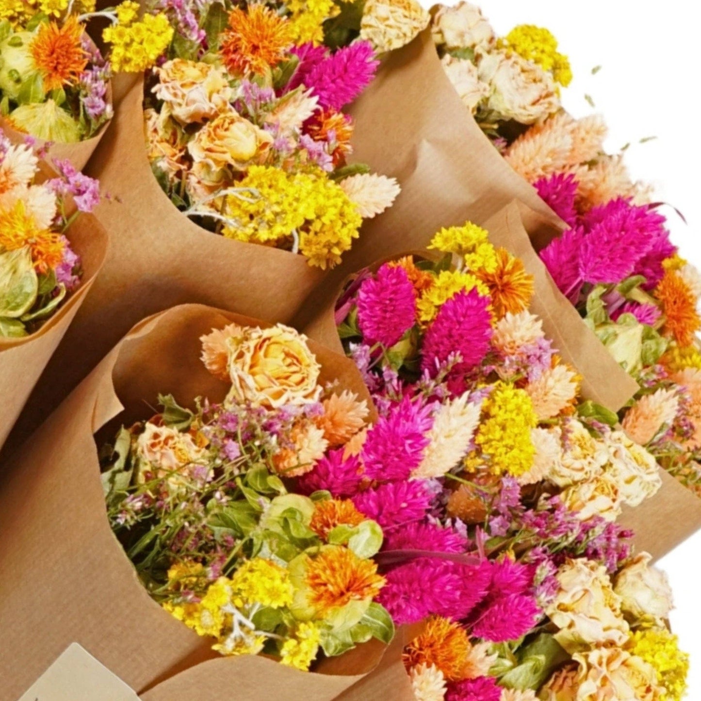 Dried Flowers - Market more - Summer Crush