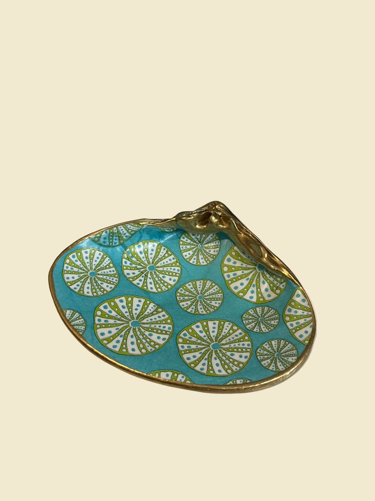 Shell Dish | colorful sand dollar black