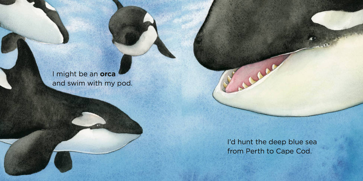 If I Were A Whale - Boardbook