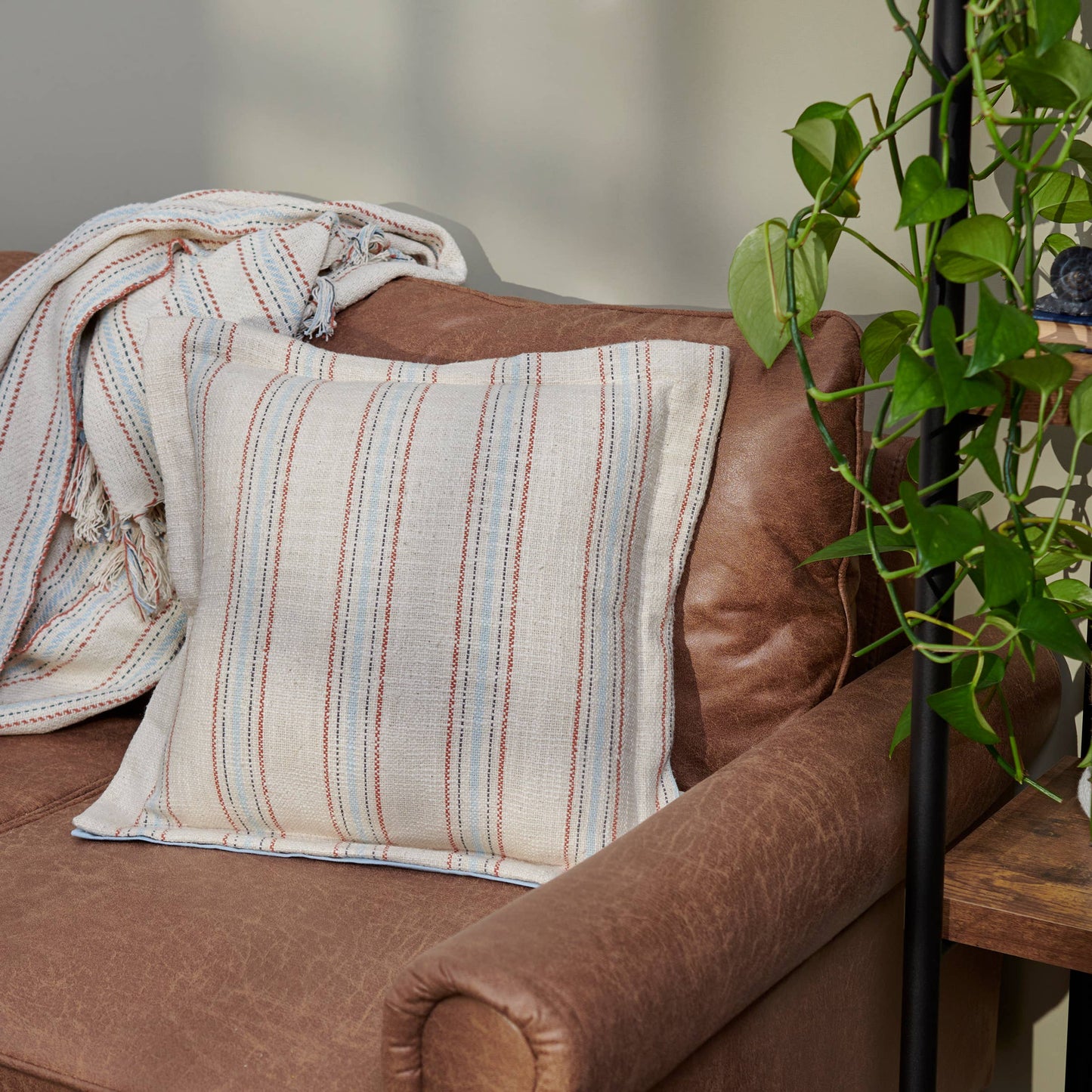 Ticking Stripe Pillow