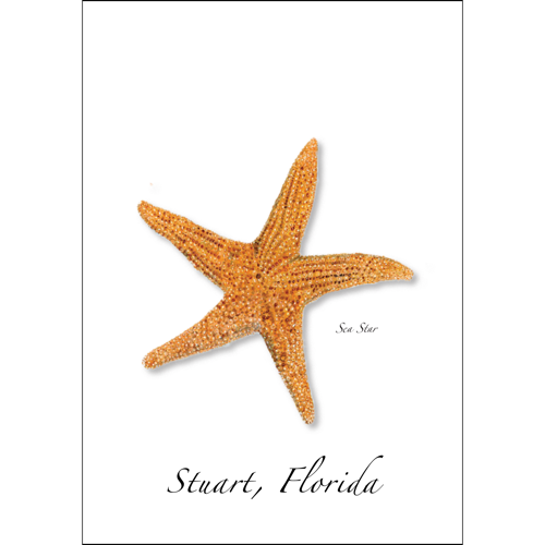 Sea Star Everyday Greeting Card, Recycled Material