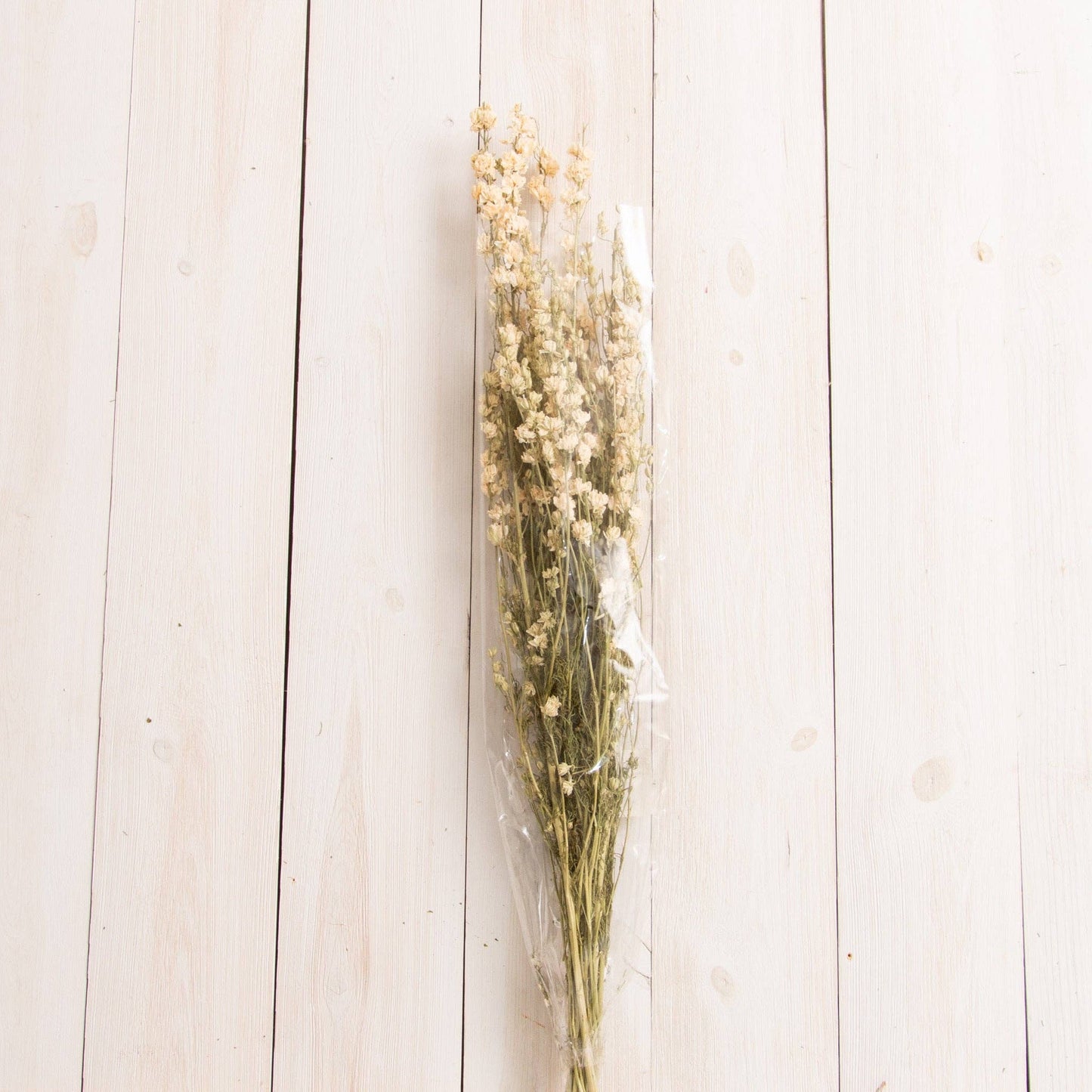 Dried White Larkspur Bundle (PC)