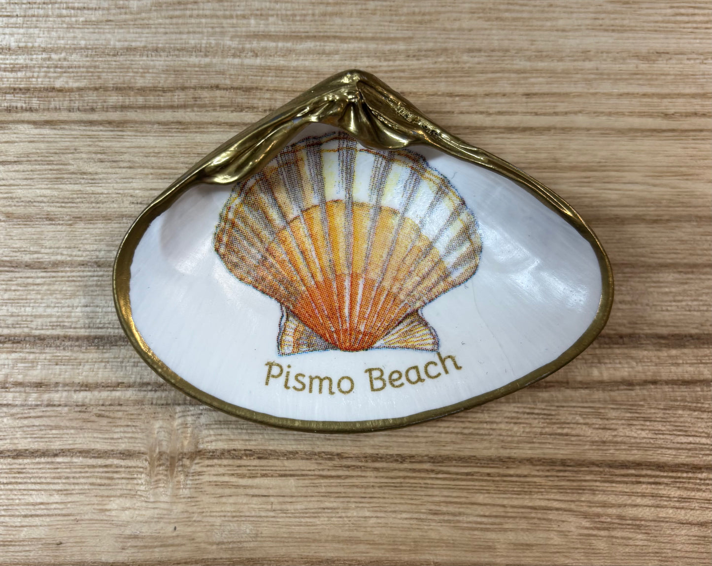 Shell Art Clam Pismo Beach