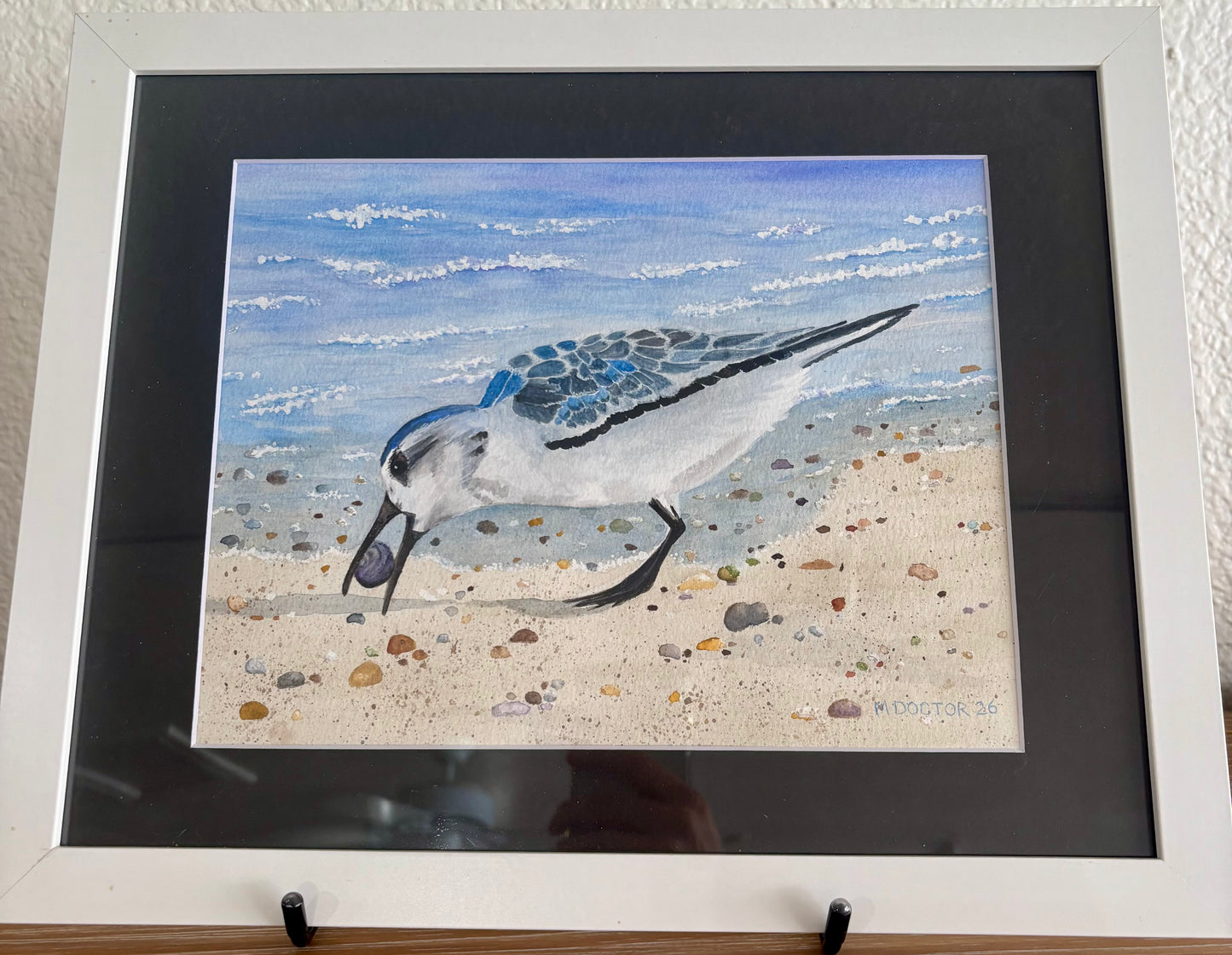 Seagull with Snail - Original Watercolor