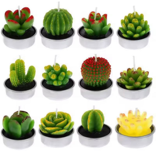 Succulent Tea Lights