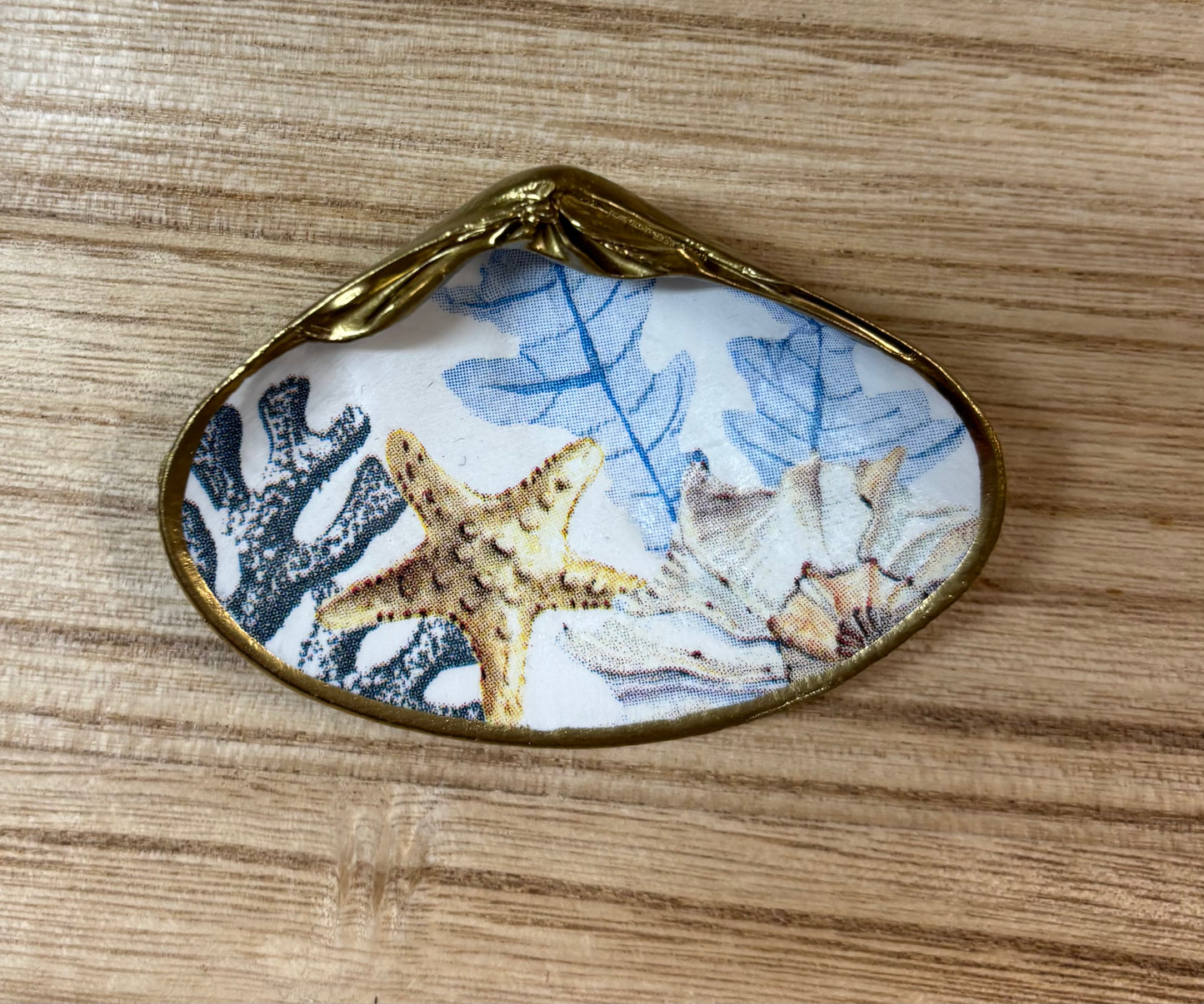 Shell Art Ocean
