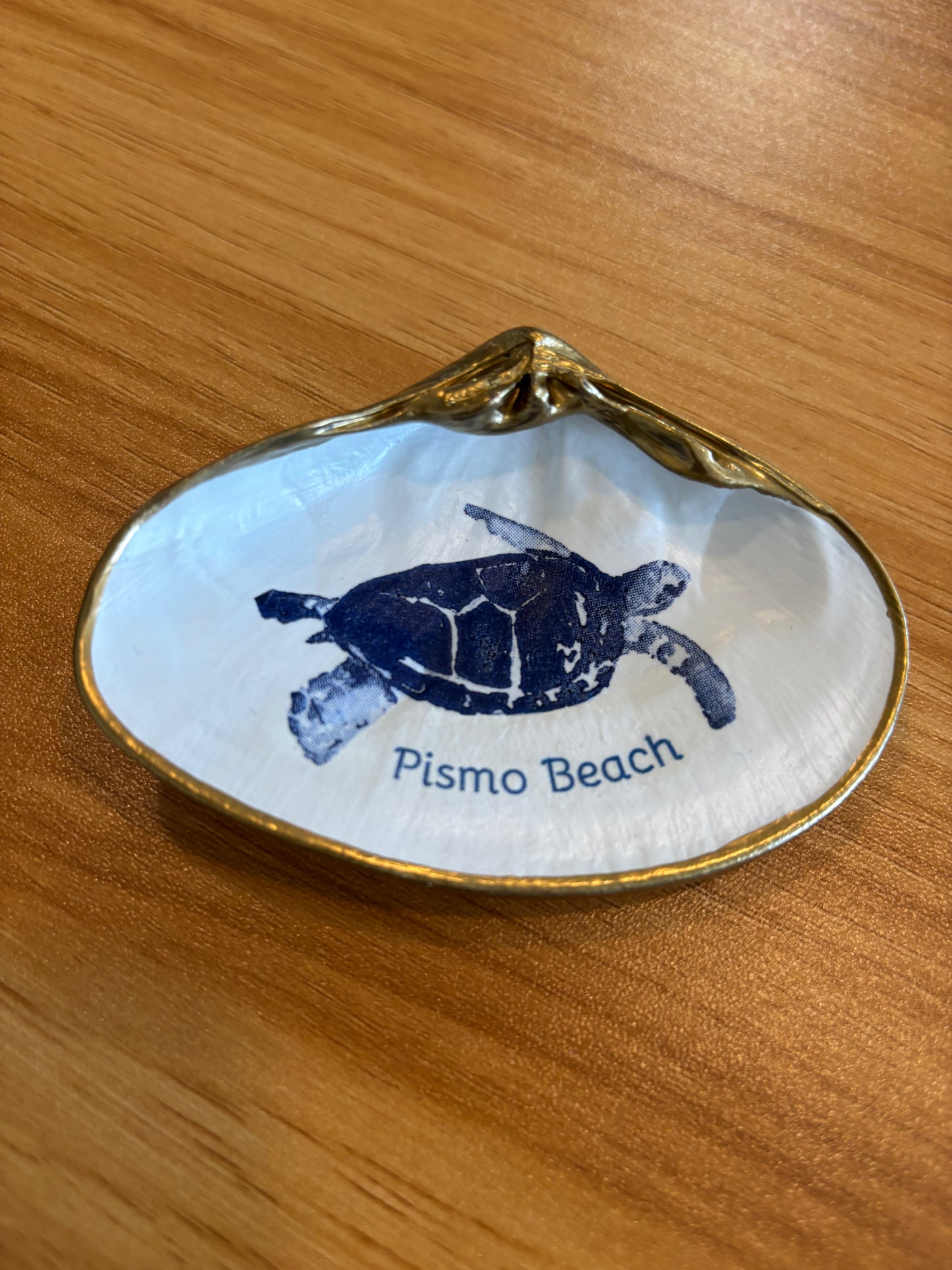 Shell Art Pismo Turtle Medium