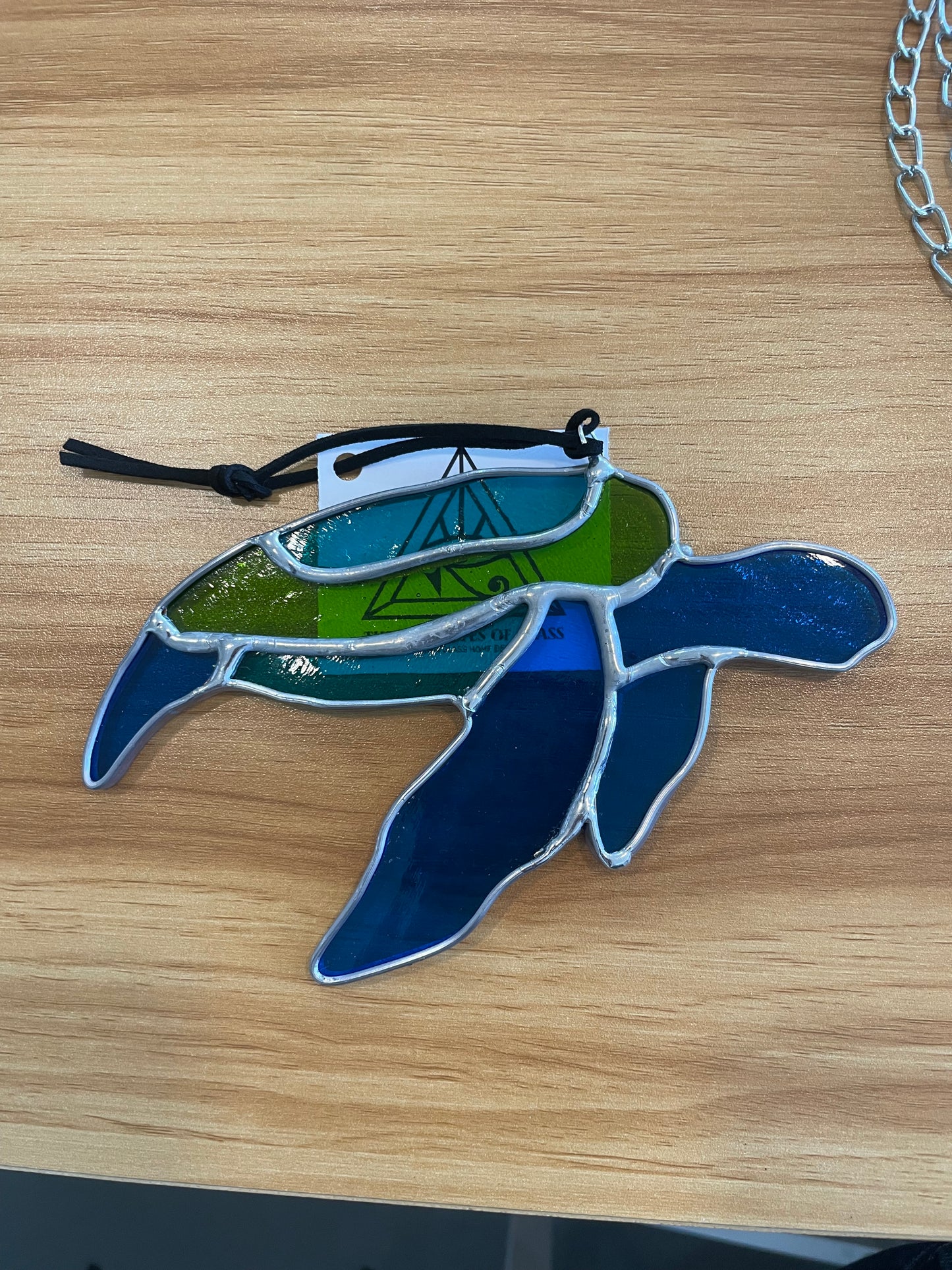 Turtle Sunctcher