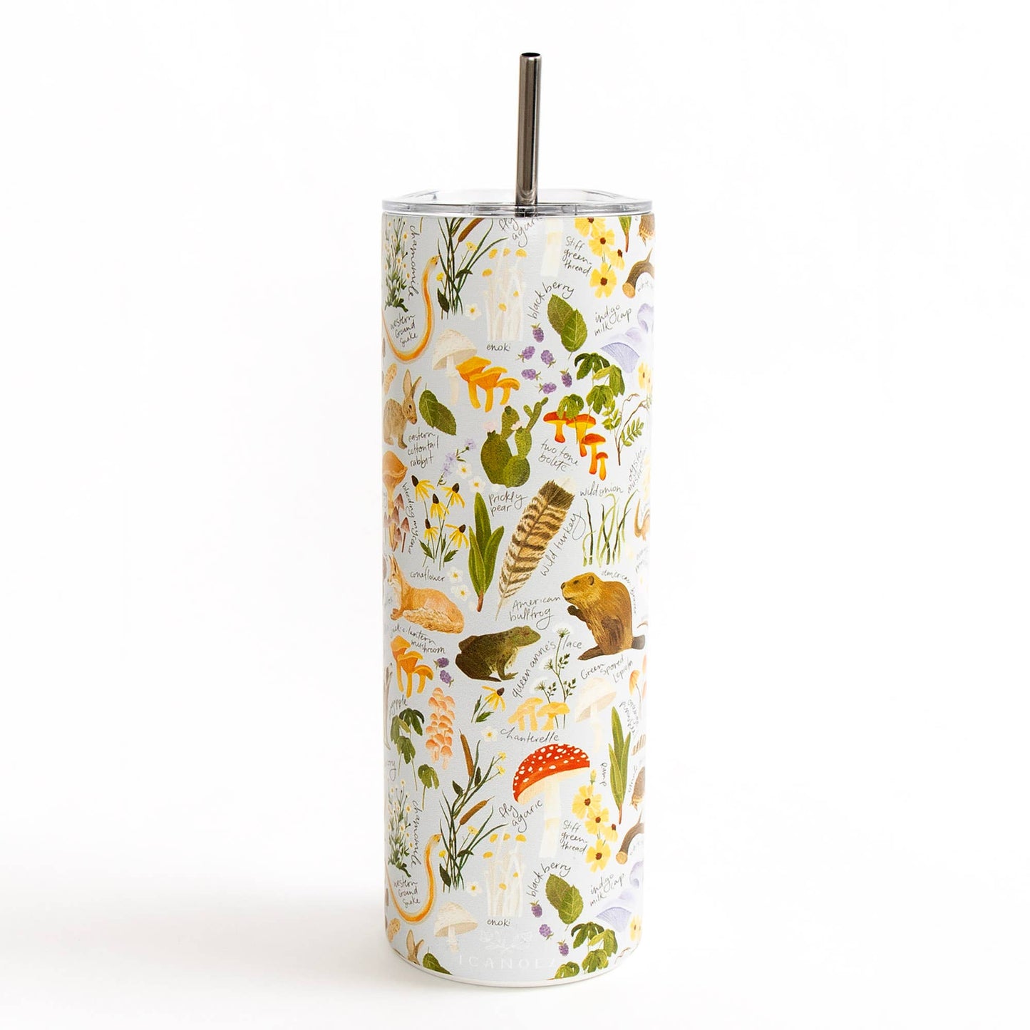 Flora & Fauna 20oz Stainless Steel Skinny Tumbler