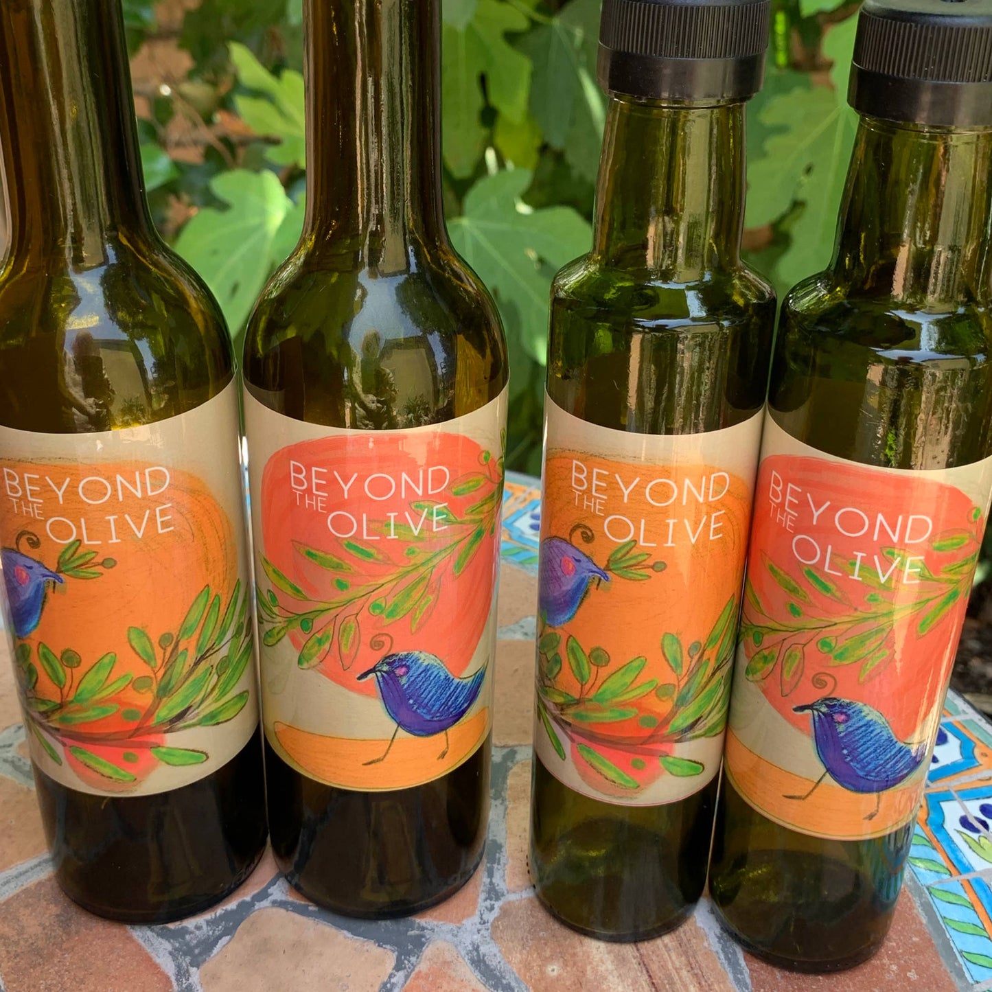 Traditional Barrel Aged Balsamic Vinegar