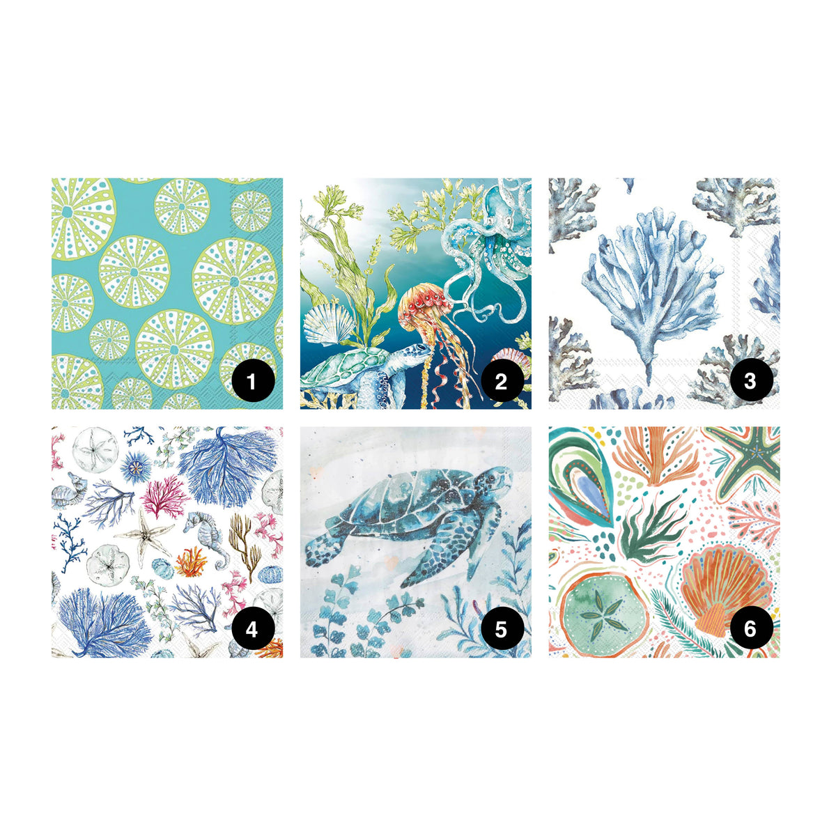 DIY Clam Shell Ocean Beach Mini Decoupage Kit