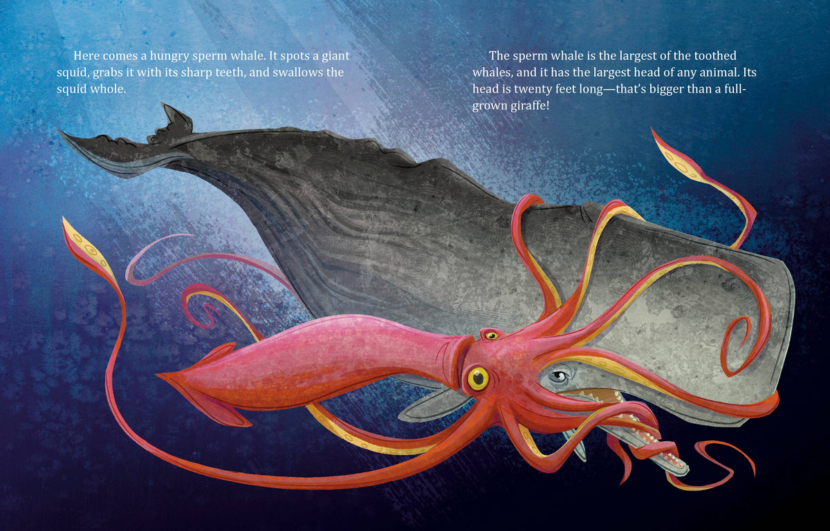 My Little Golden Book About Whales