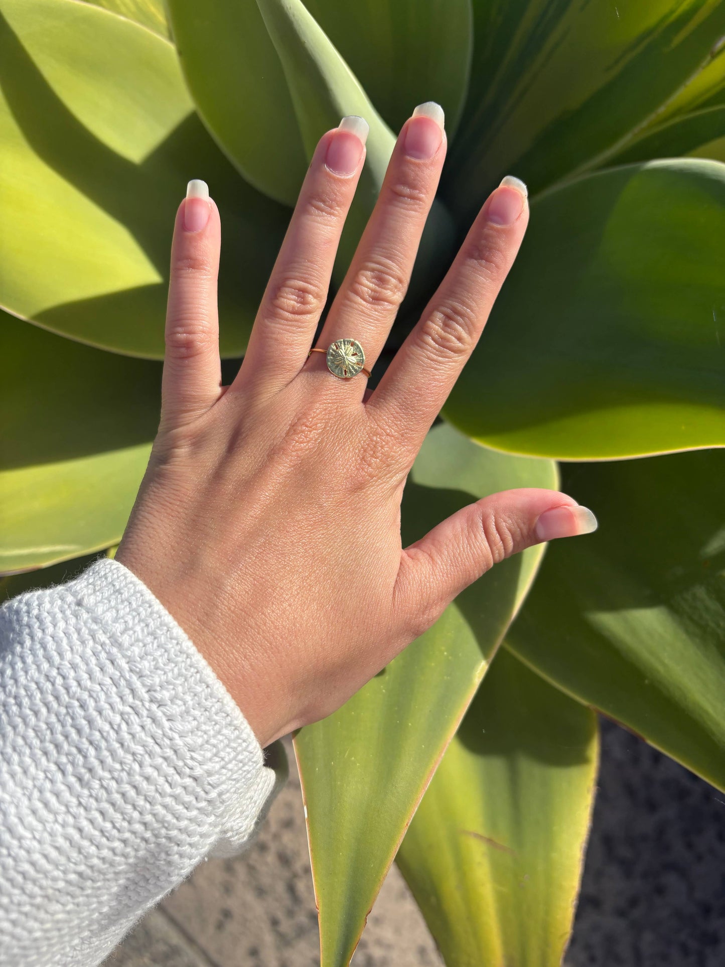Sand Dollar Ring