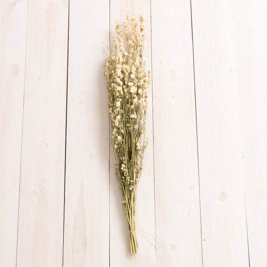 Dried White Larkspur Bundle (PC)