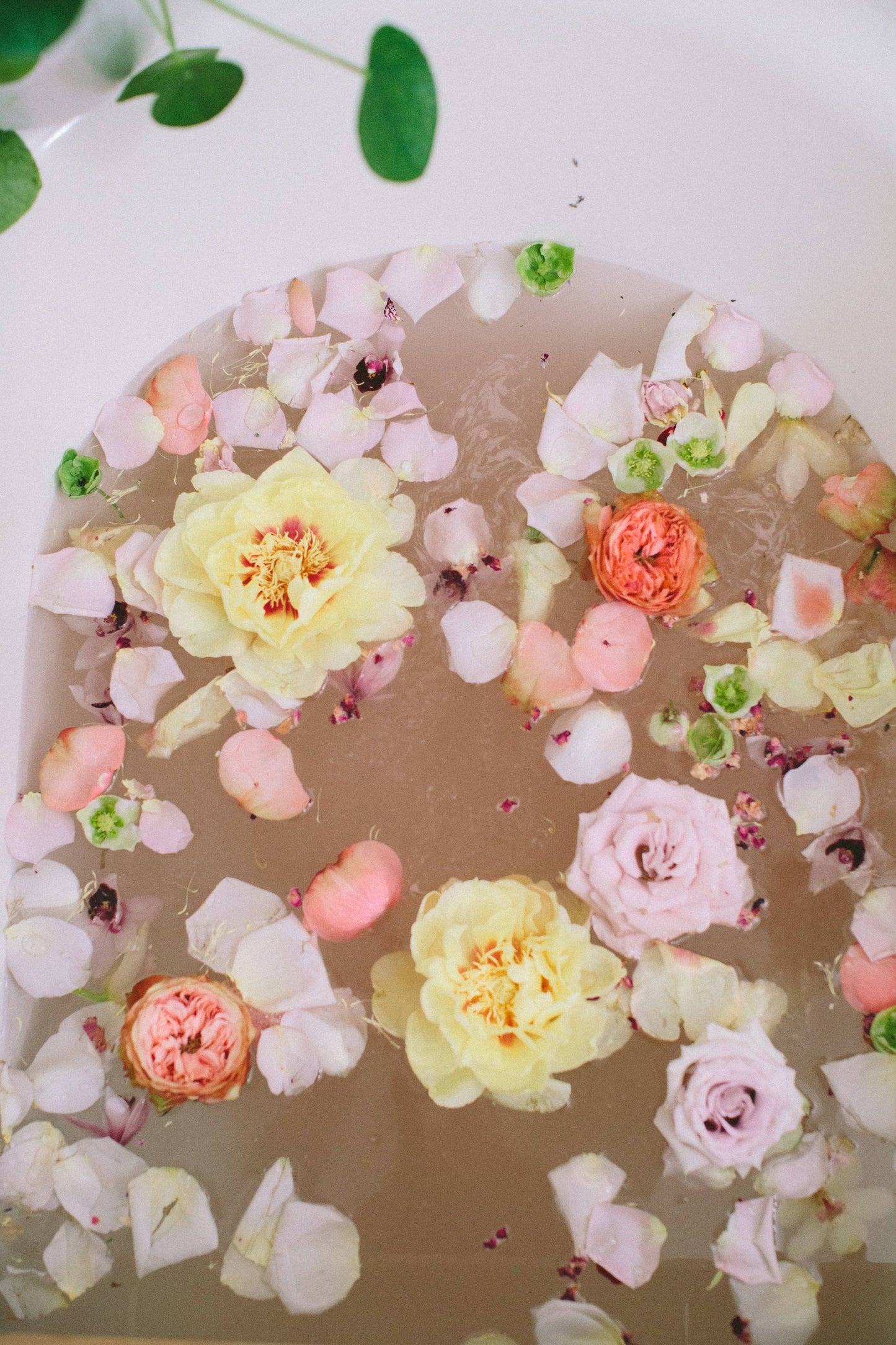 WildFlora Bath Salts: Variety