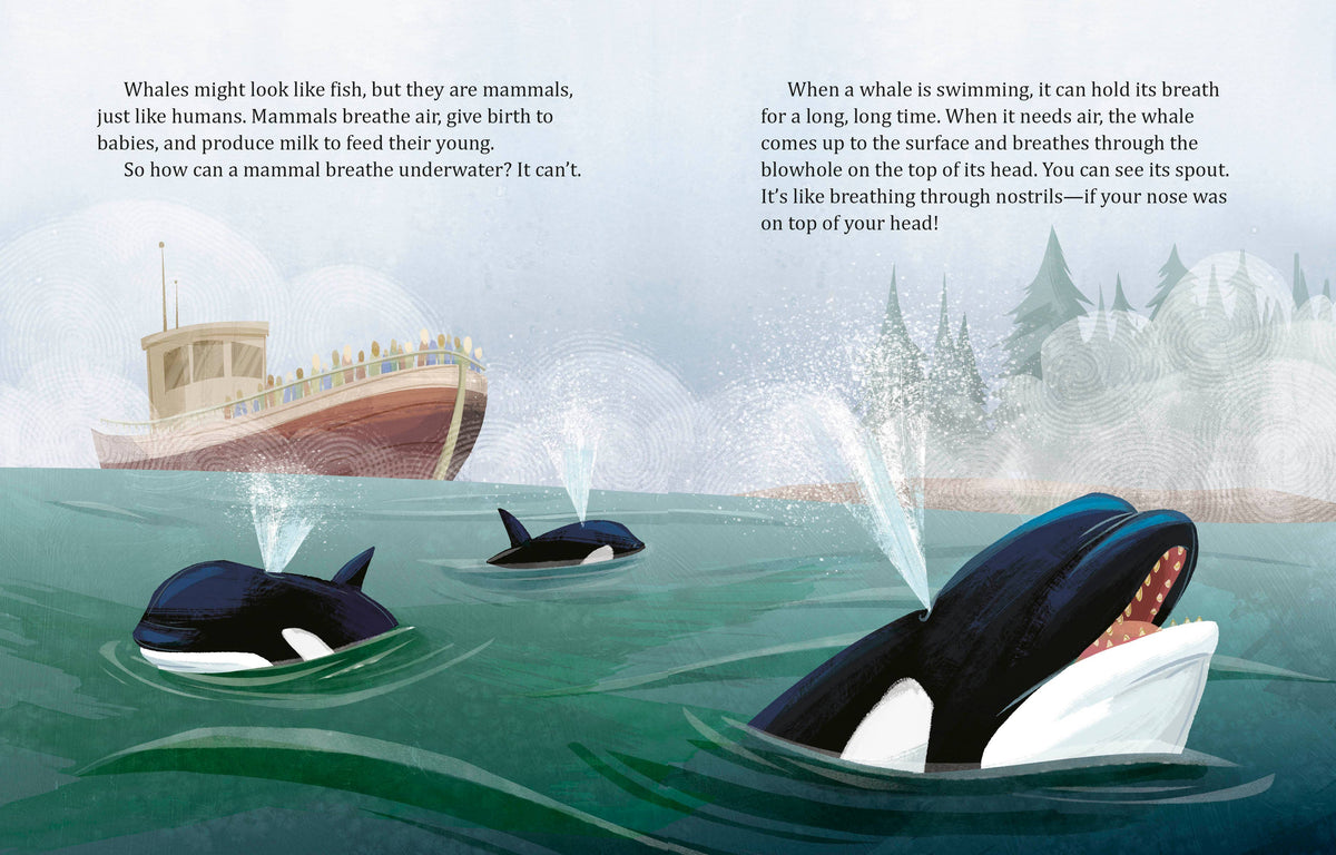 My Little Golden Book About Whales