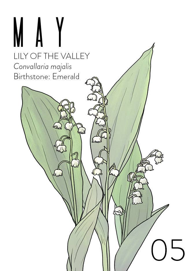 Wildflora: Floral Birth Month Birthday Card