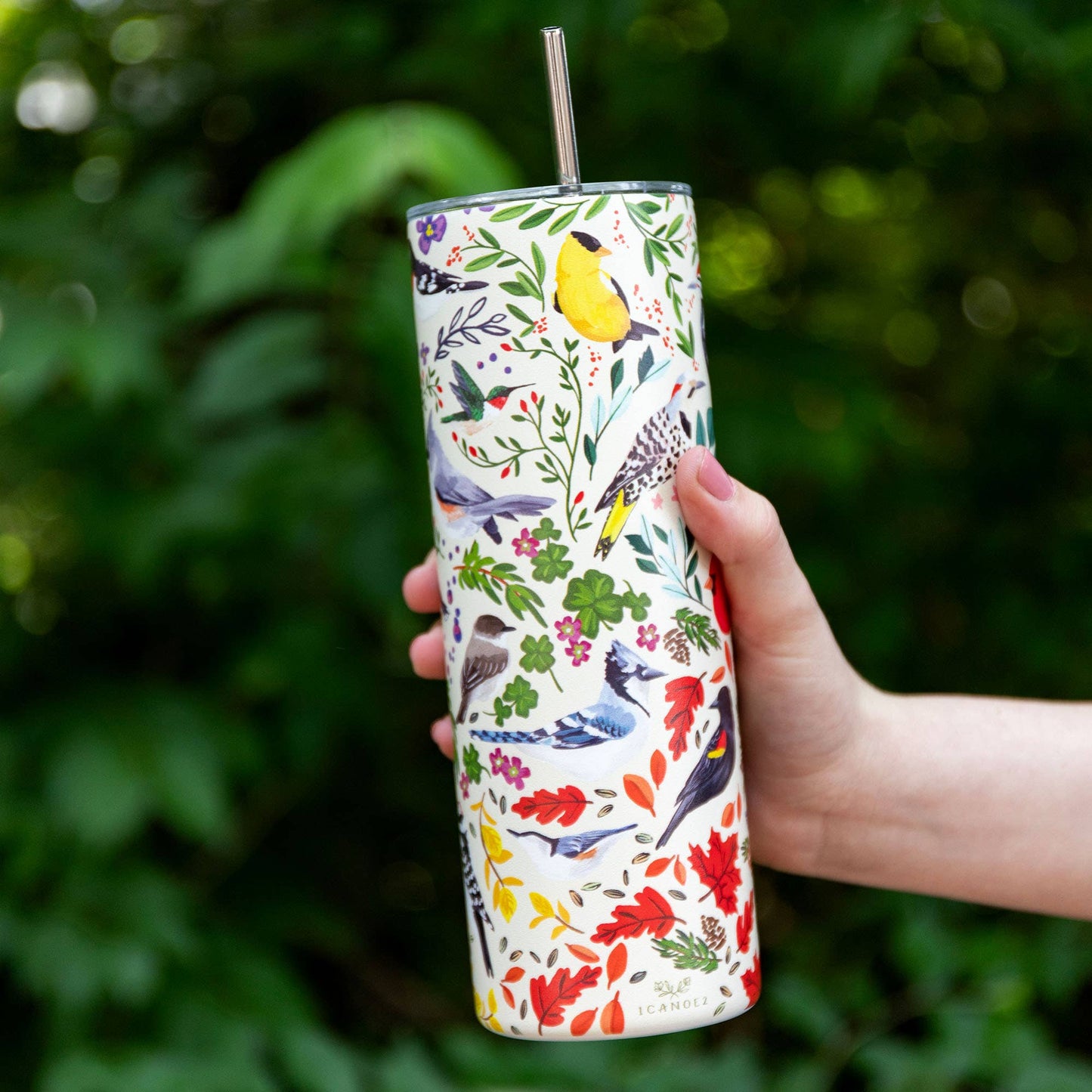 Feathered Friends Birds 20oz Stainless Steel Skinny Tumbler