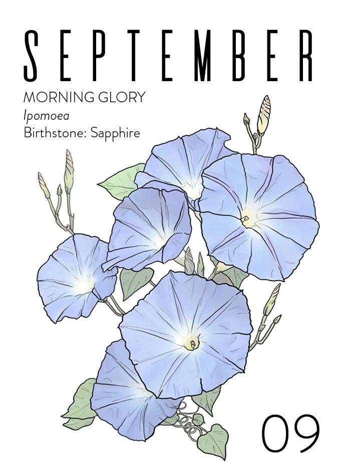 Wildflora: Floral Birth Month Birthday Card