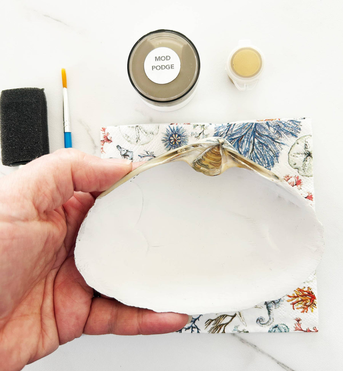 DIY Clam Shell Ocean Beach Mini Decoupage Kit