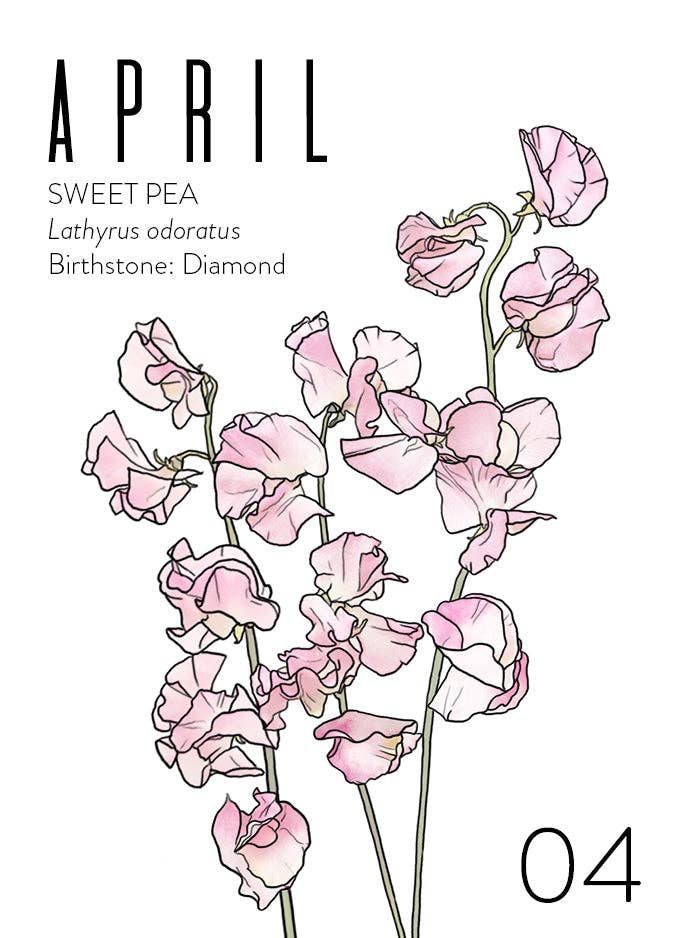 Wildflora: Floral Birth Month Birthday Card