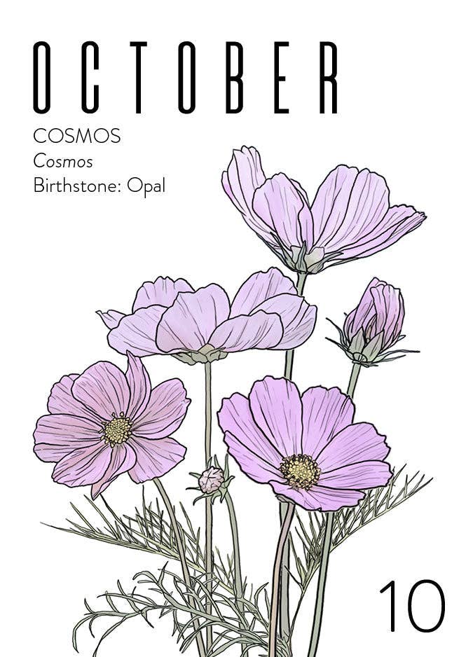 Wildflora: Floral Birth Month Birthday Card