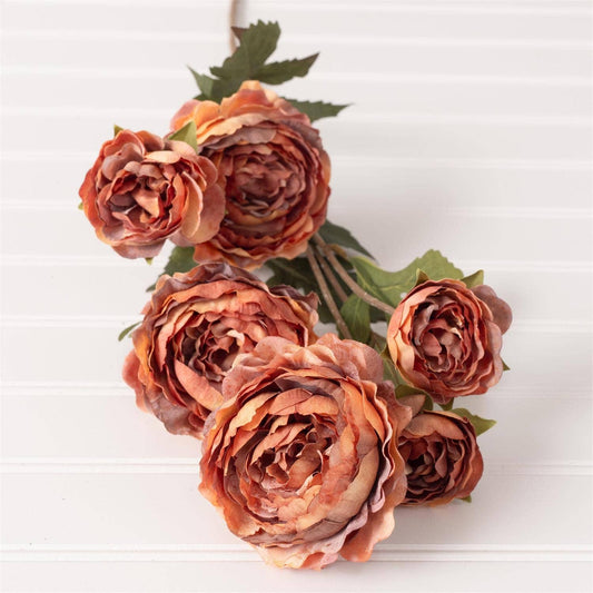 Pick - Ranunculus Rust (Pk/12)