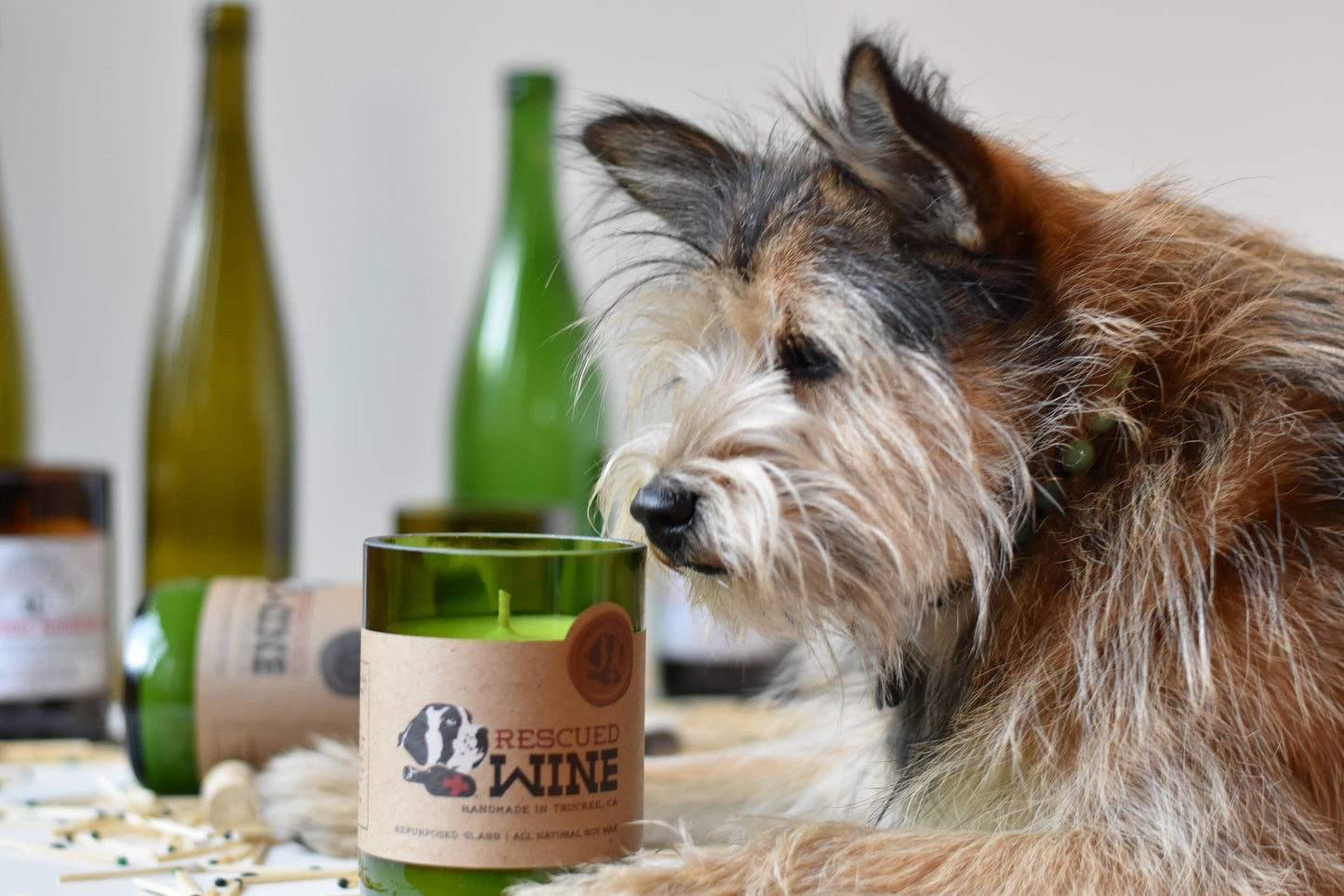Wine Country Soy Candle - Balance - Gifts for Women