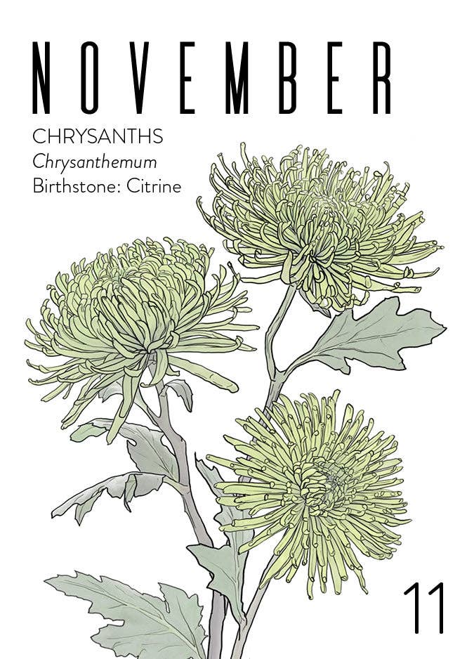Wildflora: Floral Birth Month Birthday Card