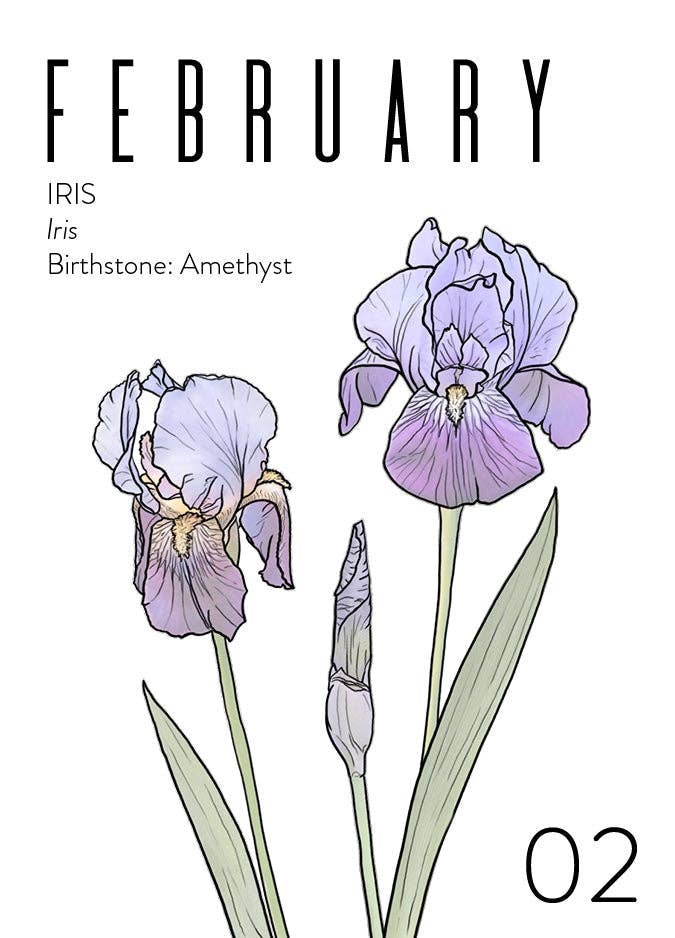Wildflora: Floral Birth Month Birthday Card