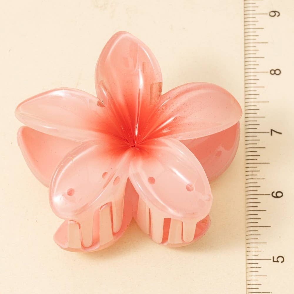 3Pc Large Vibrant Gradient Flower Hair Claw