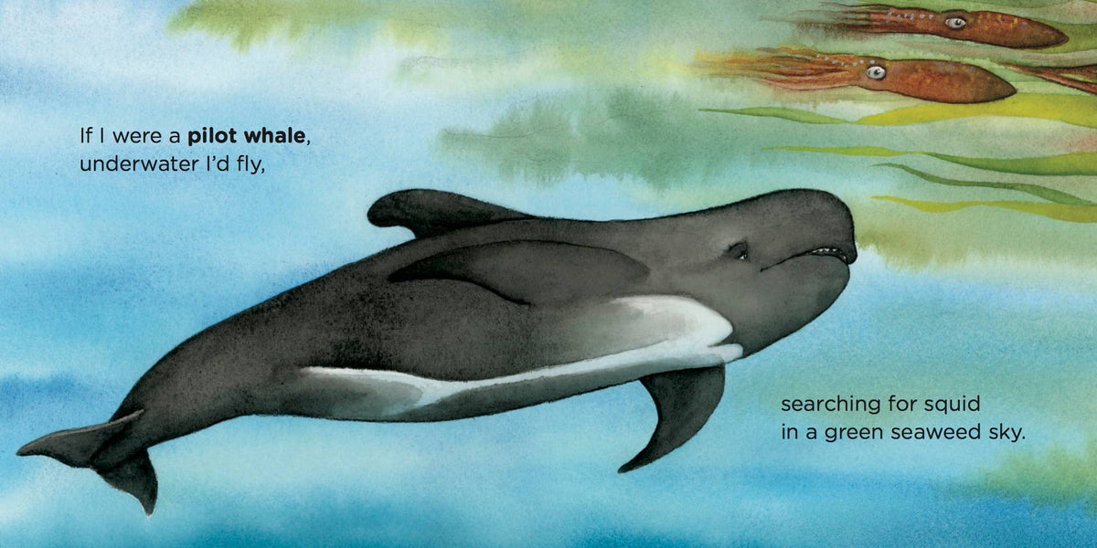 If I Were A Whale - Boardbook