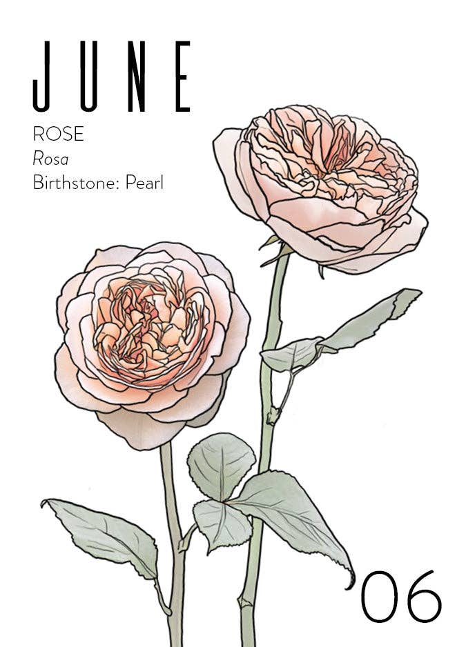 Wildflora: Floral Birth Month Birthday Card