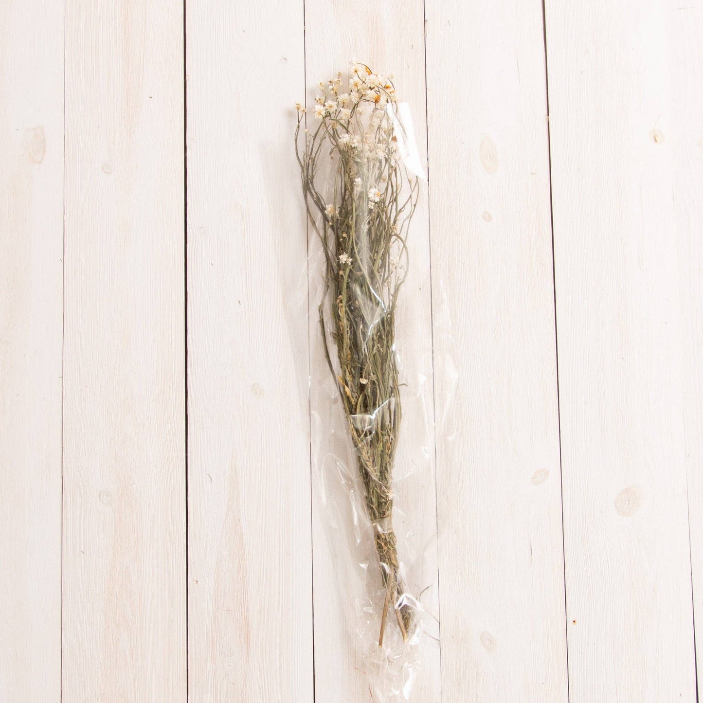 Dried Ammobium Bundle (PC)
