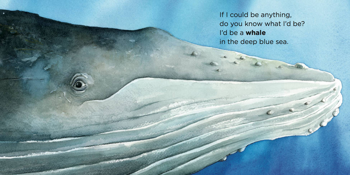 If I Were A Whale - Boardbook