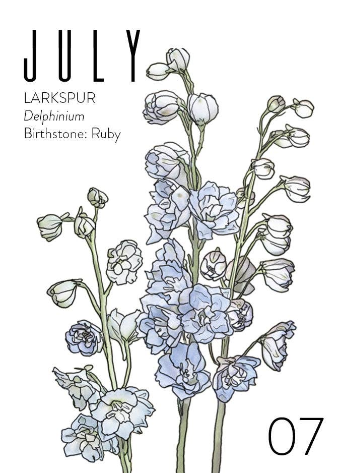 Wildflora: Floral Birth Month Birthday Card