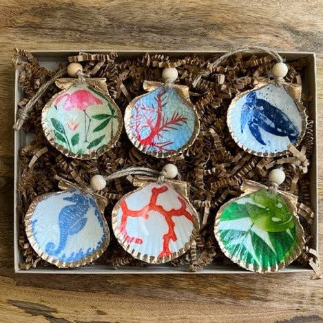 Coastal Mini Shell Ornament Gift Set – Handcrafted Seashell Decor