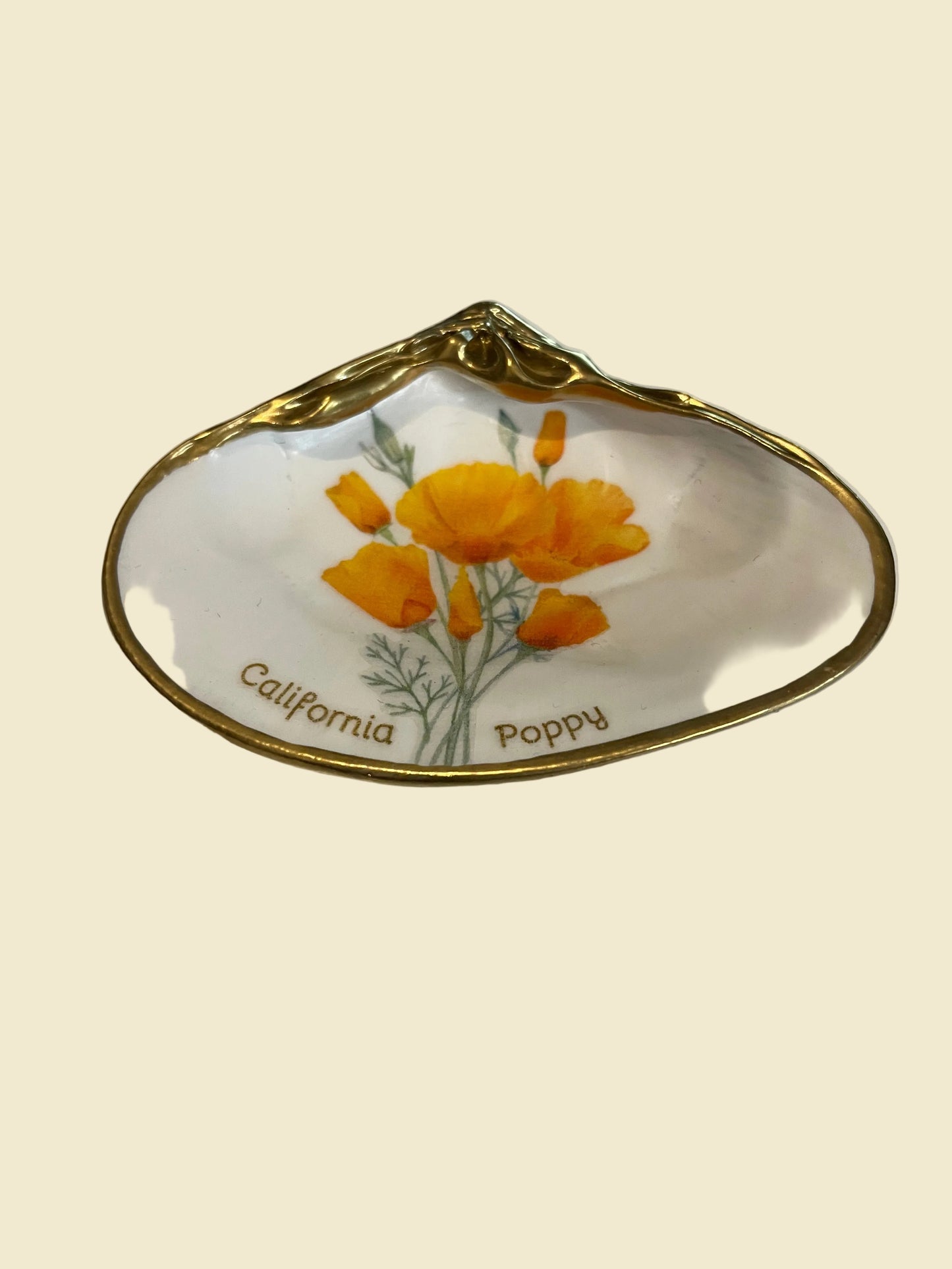 Shell Dish | CA Poppy red
