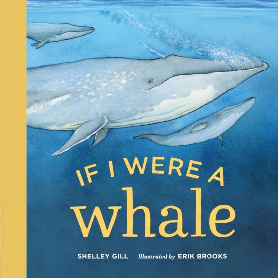 If I Were A Whale - Boardbook