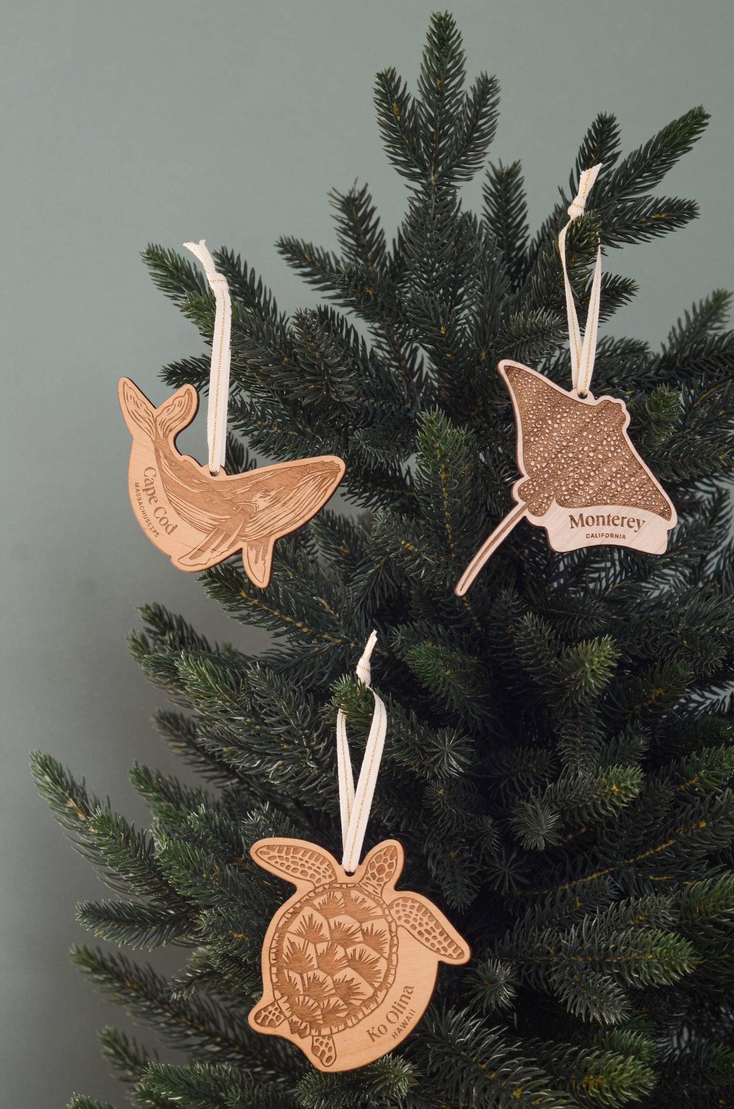 Humpback Whale Destination Wood Ornament