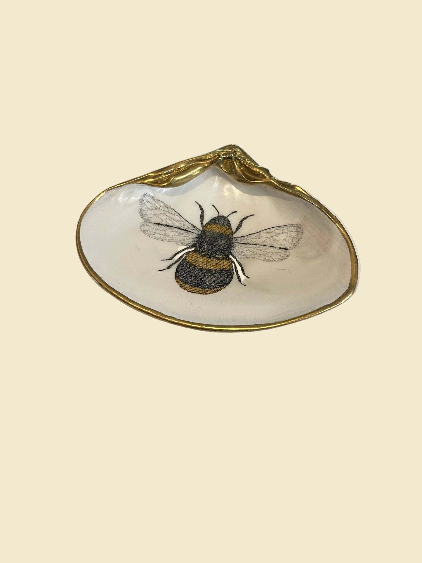Shell Dish | Bee yellow