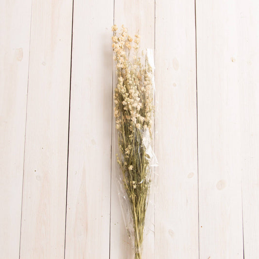 Dried White Larkspur Bundle (PC)