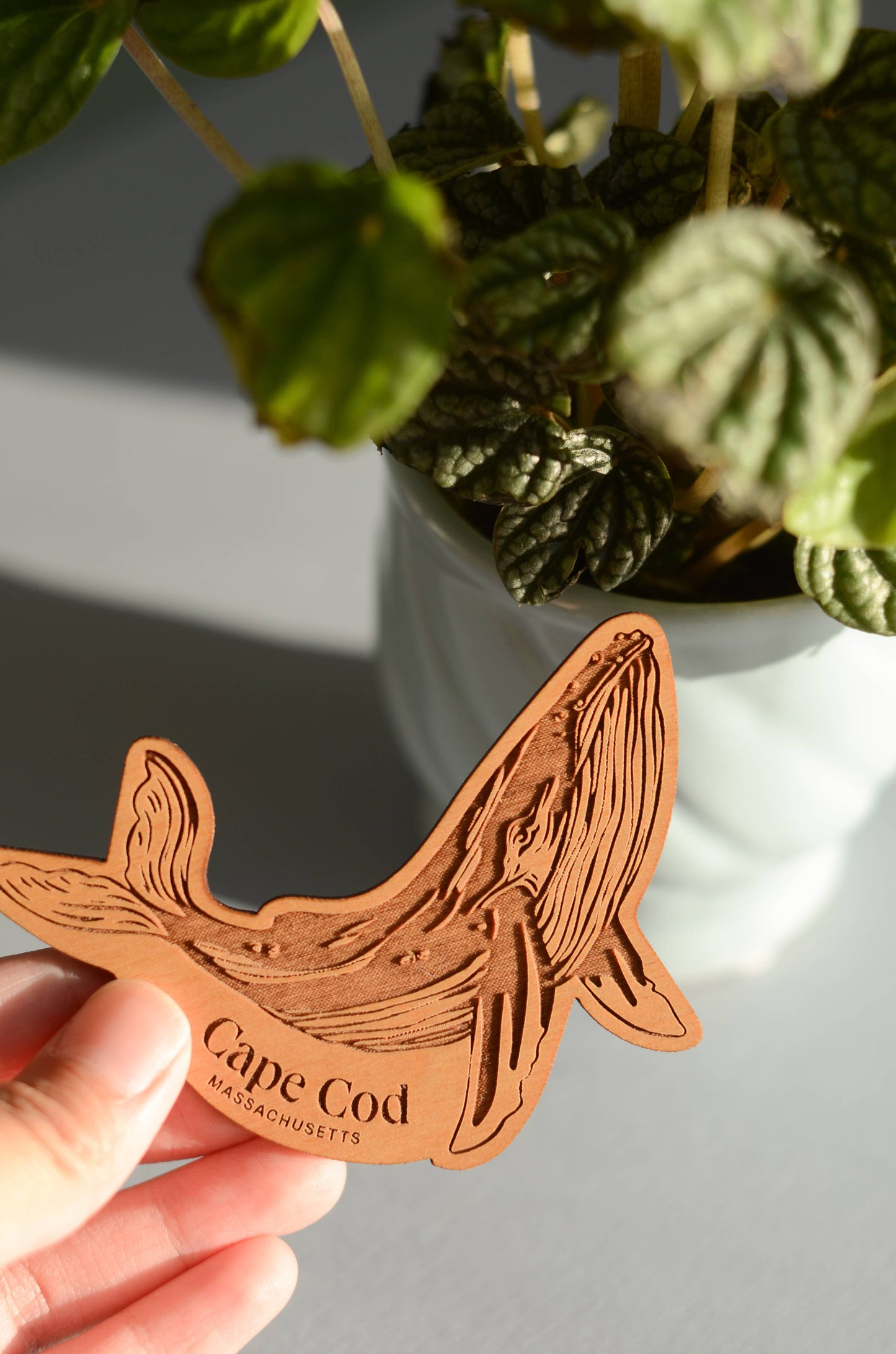 Humpback Whale Destination Wood Magnet