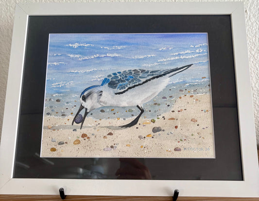 Seagull with Snail - Original Watercolor