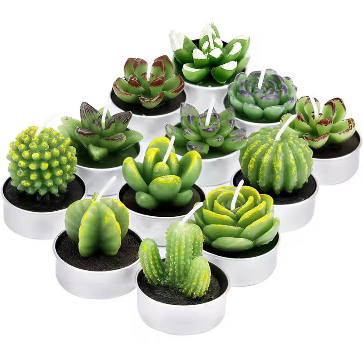 Succulent Tea Lights