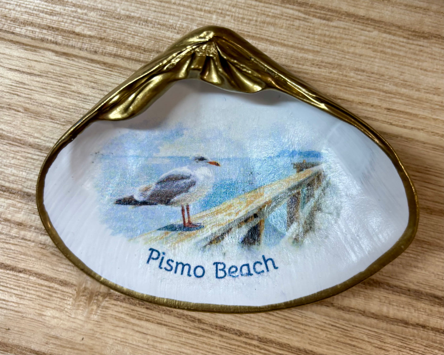 Shell Art Seagull Pismo Beach