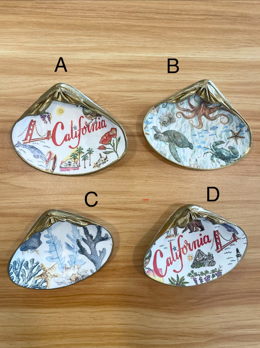 Pismo Clam Shell Trinket Dish - Large