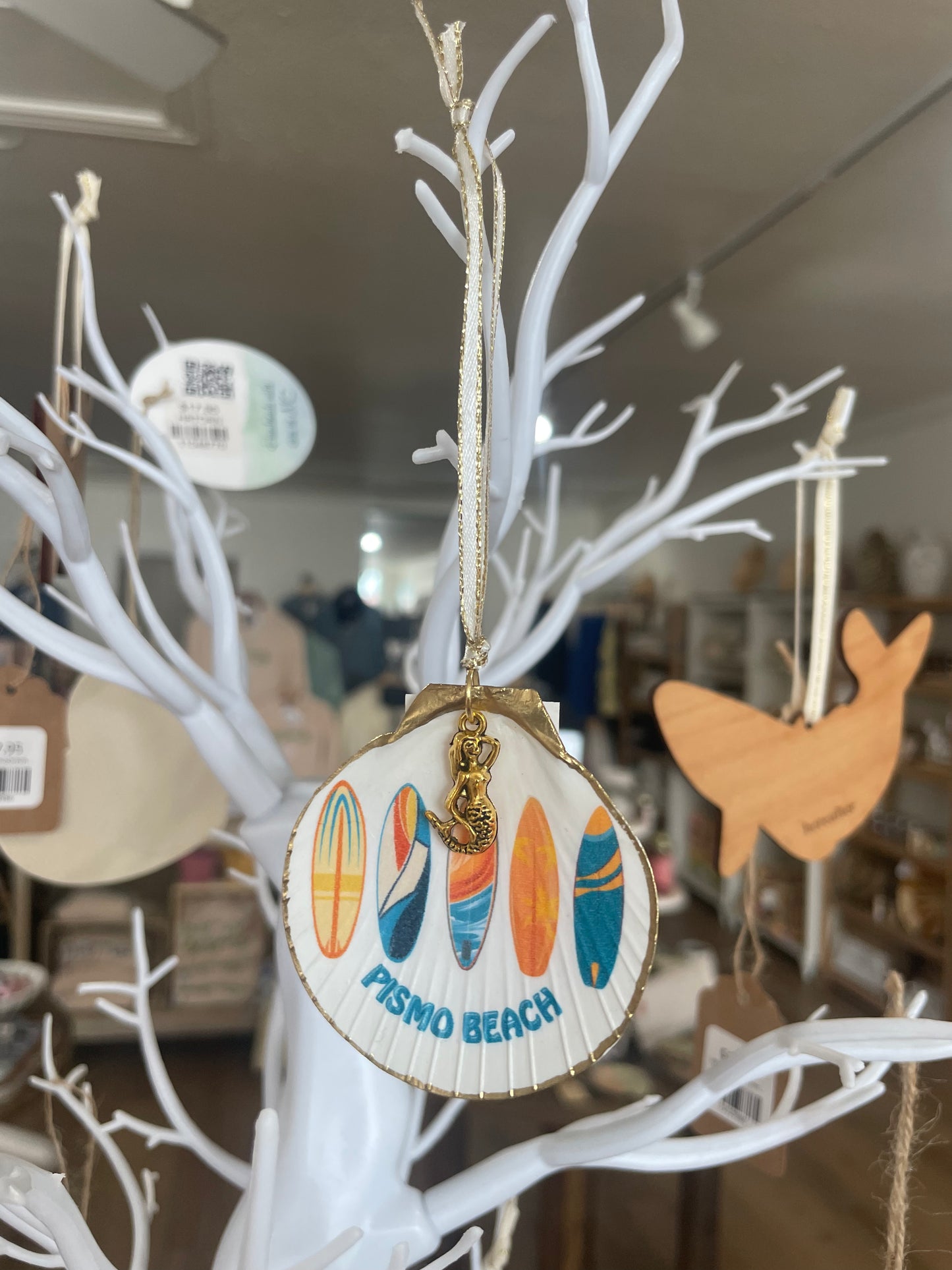 Shell Ornaments | Cindy Shells