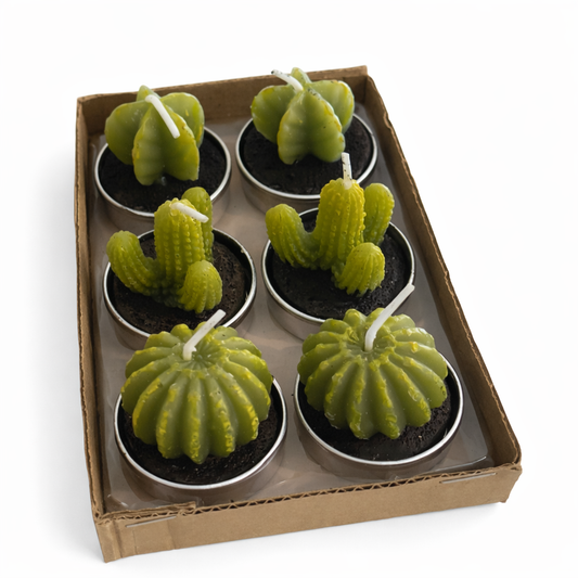 Succulent Tea Light 6 pack