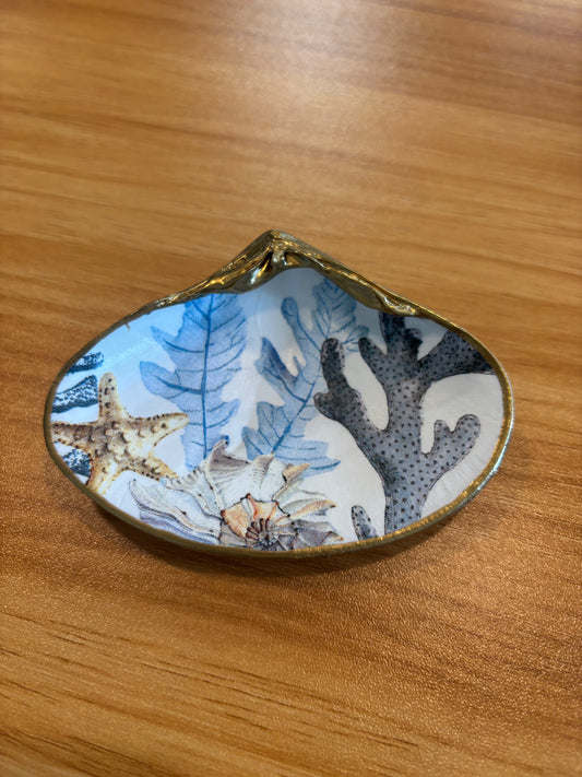 Shell Art Ocean Medium